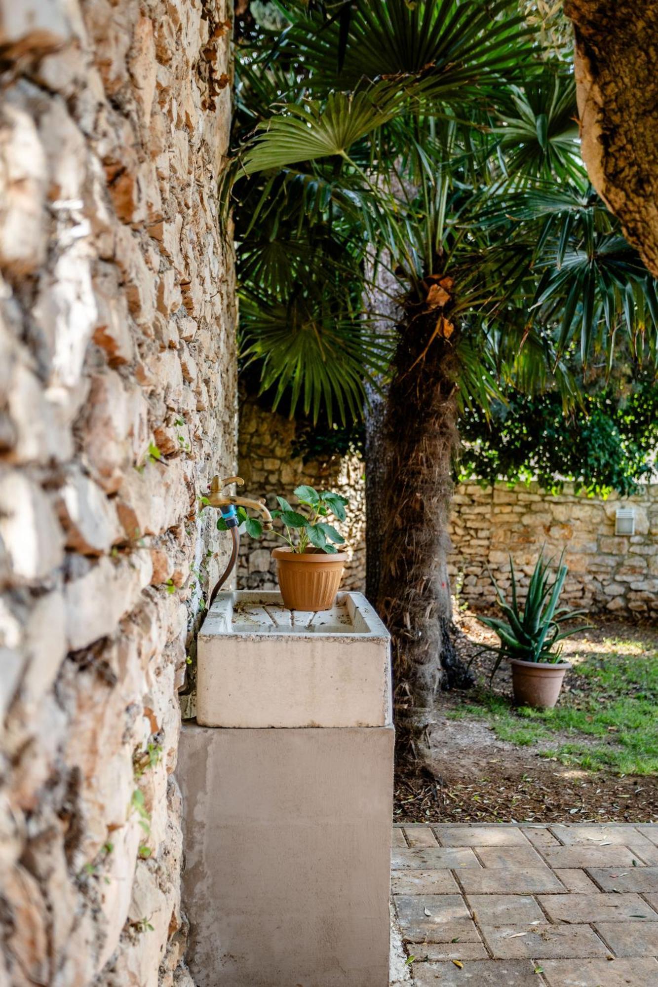 Vila Regi Μεντουλίν Εξωτερικό φωτογραφία